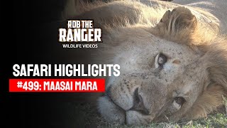 Safari Highlights #499: 29th September 2018 | Maasai Mara/Zebra Plains | Latest #Wildlife Sightings
