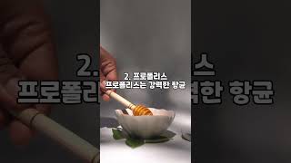 중년이라면 꼭 먹어야하는 면역력 증진 음식 TOP3