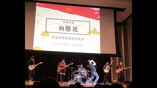 向阳花 - 微醺乐队@2018费城四校春晚