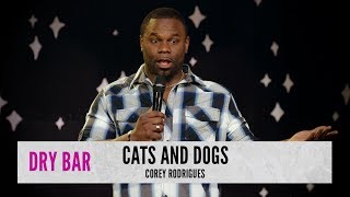 Cats are better than dogs. Corey Rodrigues.