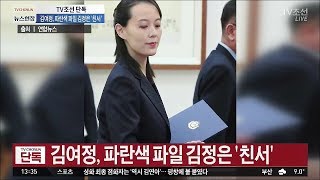 김여정, '김정은 친서' 문 대통령에 전달 [단독]