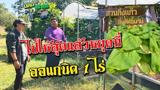 นิคมลุยสวน - หาตัวเองจนเจอปลูกผัก 1 ไร่ รายได้ไม่ธรรมดา!!