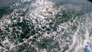 Ocean waves sounds nature || ocean sounds || sea waves relaxing music || water sounds ||