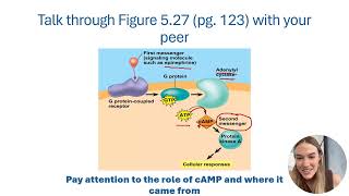 Cell Signaling