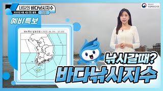 [바다낚시지수] 2022년 6월 5일 동해상과 남부해상 곳곳에 풍랑특보가 발효/ 해양예보 On바다