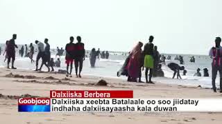 Dalxiiska Xeebta Batalaale ee Berbera