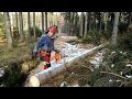 Fast and versatile Lumberjack with Husqvarna 560 XP chain saw