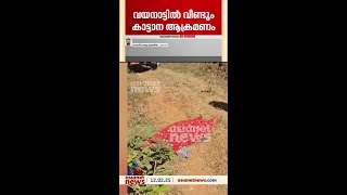 വീണ്ടും ജീവനെടുത്ത് കാട്ടാന, അട്ടമലയിൽ യുവാവ് കൊല്ലപ്പെട്ടു