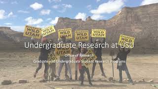 Mentoring Undergraduate Research Students