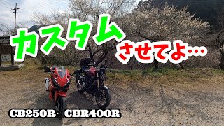 なかなか手強い妻【初心者女子ライダー】と梅を見に行ってみた！