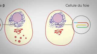 MOOC : Introduction à la biologie systémique de la cellule