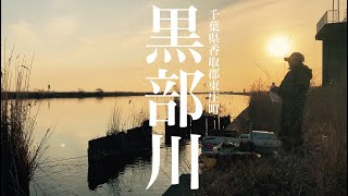 今年も1人で来てみた！黒部川でへらぶな釣り 千葉県香取郡東庄町