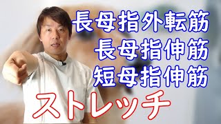 【ストレッチ】長母指外転筋・長母指伸筋・短母指伸筋のストレッチ　キーボード打つ・楽器の演奏で親指・人差し指を使う人へ