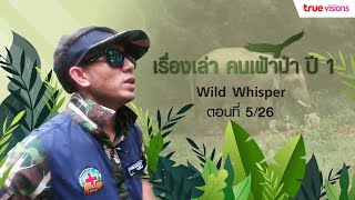 Wild Whisper Season 1 ภารกิจช่วยเหลือสัตว์ป่าในพื้นที่กับเหล่าทีมนักอนุรักษ์ | EP.5