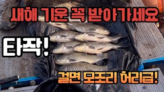 산란철에도 이렇게 못잡는다! 한겨울 허리급으로 타작!