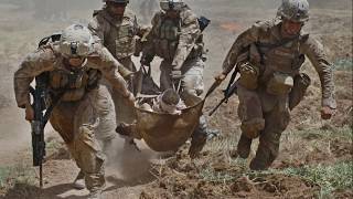 Honor Them: A Memorial Day Tribute