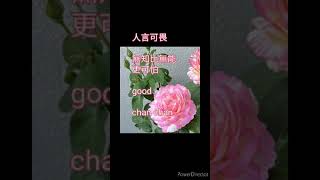 💯chan chan 🍎人言可畏 🌷 無知比無能更可怕