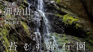 御岳山 -御嶽駅より登る 苔むす岩石園-