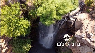 נחל ג'ילבון/ מסלול מאתגר, קצר עם מפלים קרים ברמת הגולן/ לטייל בישראל / Gilbon River