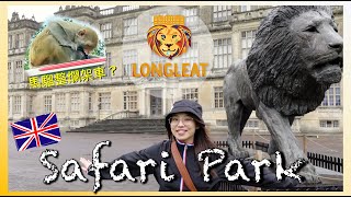 英國vlog｜野生動物園 Longleat Safari Park🦁｜差啲俾馬騮整爛㗎車？！