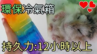 【DIY】超持久倉鼠冷氣箱(使用時免電)! 環保過夏天的爽快鼠 :3 預防及解決倉鼠中暑問題