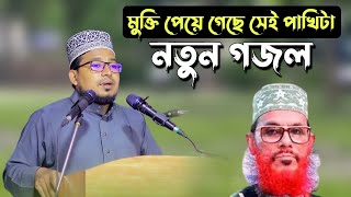 তার মুক্তি চেয়ে যেতাম আমি গান গেয়ে || নতুন গজল || কবির বিন সামাদ || Kabir bin Samad song