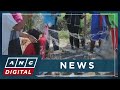 Rice straws used to create oil spill booms in Naujan, Oriental Mindoro | ANC