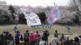 くまがや鳴子会 熊舞☆くまがや桜よさこい2016