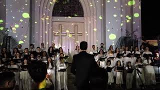 Concerto Renascer com projeção mapeada leva emoção na Catedral de Santo Antônio; veja