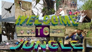 Jungle Adventure || जल जंगल और जमीन || ଅସ ବୁଲି ଆସିବା ଜଙ୍ଗଲ