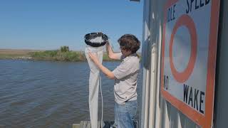 Plankton Sampling - Part 1: Net Sampling