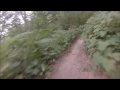 forest park spin