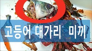 고등어 대가리 통발 에 넣어 던지면 ??