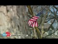 Harrison Boulevard in Boise's North End lined with American flags