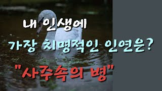 [Ion 에너지 치유] 나의 인생에 치명적인 인연은 ? ( 사주속의 병)