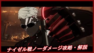 【パニグレ】パニシング：グレイレイヴン ナイゼル戦 行動解説・ノーダメ攻略【Punishing Gray Raven】