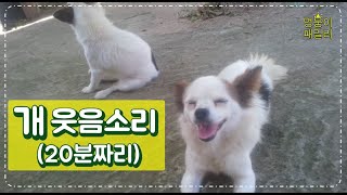 개 웃음소리(20분짜리) 효과를 느껴보세요 | Feel the effect of dog laughter (20minutes) | 犬笑い声（20分の）効果を感じてみてください