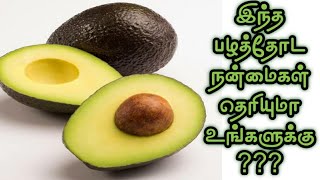 அவகேடோ பழத்தை சாப்பிடுவதால் கிடைக்கும் நன்மைகள் | Avocado Fruits Benefits tamil | #Healthy lifestyle