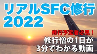 【SFC/JGC修行予定者必見】修行のリアルー1日16時間を3分に凝縮！SFC修行2022 1日4reg.の記録