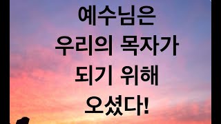 [매일 보캐] 예수님은 우리의 목자가 되기 위해 오셨다!