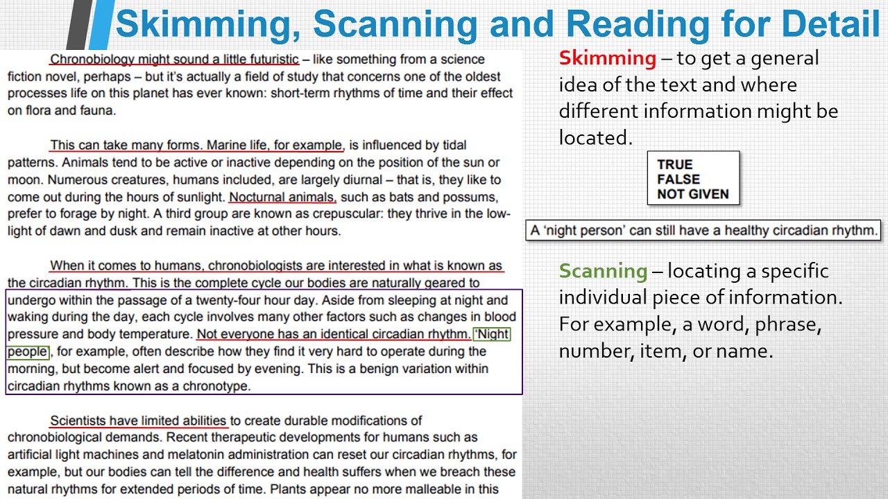 IELTS Reading Skills: How To Skim, Scan And Read For Detail Effectively ...