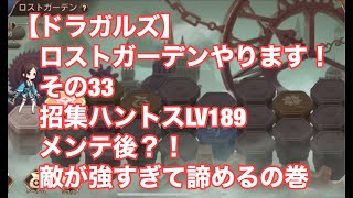 【ドラガルズ】ロストガーデンやります！その33　招集ハントスLV189　メンテ後？！　敵が強すぎて諦めるの巻