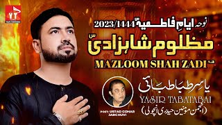 Yasir Tabatabai || Mazloom Shahzadi sa || New Noha 2023 || Ayyam-e-Fatmiyah s.a