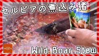 大量にぶち込んだ野生イノシシ肉のシチュー in セルビア