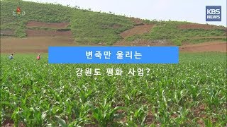 [KBS뉴스춘천] 변죽만 울리는 강원도 평화사업?