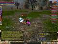 Olimpia Knight online TRaGeDY no:lives:3 arderem