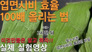 엽면시비의 비밀 (흙PD) / [ENG Sub] #엽면시비 #농사 #친환경농산물 #친환경농업 #식물영양제 #피프티 #유기농 #엽면시비방법