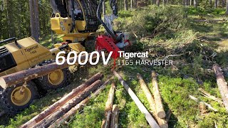 Log Max 6000V (2020) - Tigercat 1165