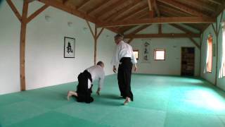 Ki-Aikido Kata no.14 Morotedori