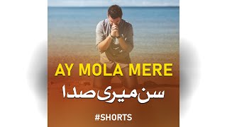 Ae Mola Meray Sun Meri Sada - Hafiz M Sohail - Peace Studio Shorts #shorts